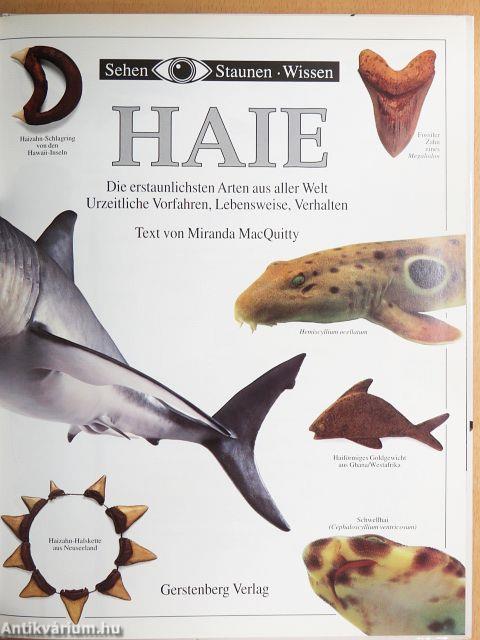 Haie