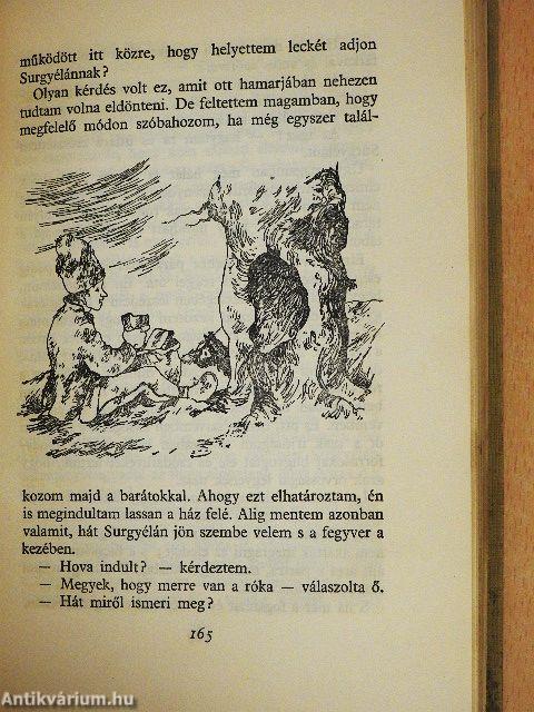 Ábel a rengetegben