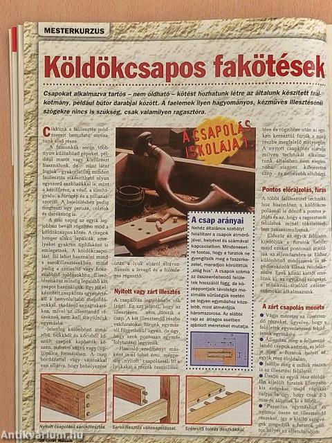 Ötlet Mozaik 1999. január