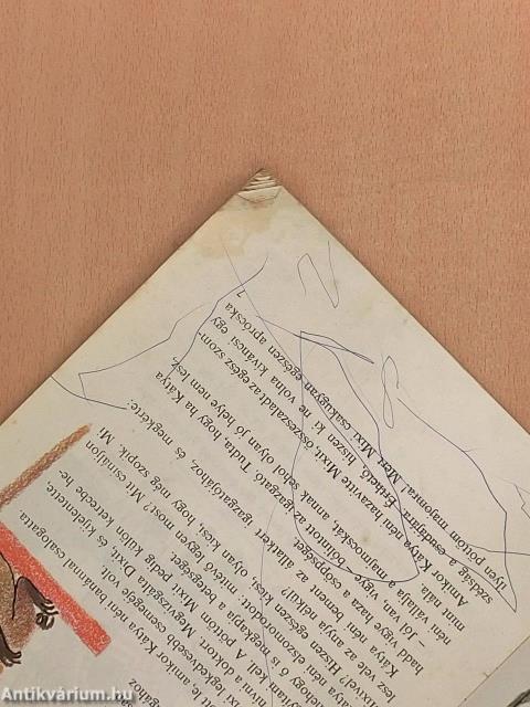 A csintalan majmocska