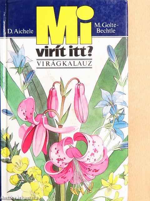Mi virít itt?
