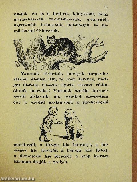 Flóri könyve