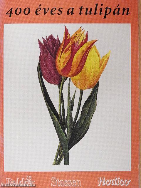 400 éves a tulipán