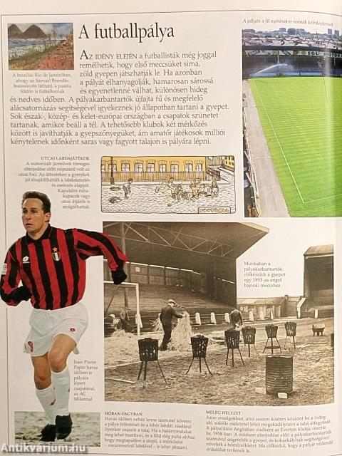 Futball