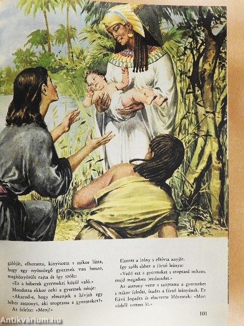 Képes Biblia