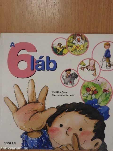A 6 láb