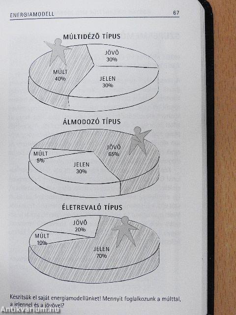 52 döntési modell