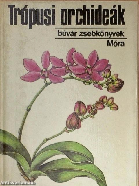 Trópusi orchideák