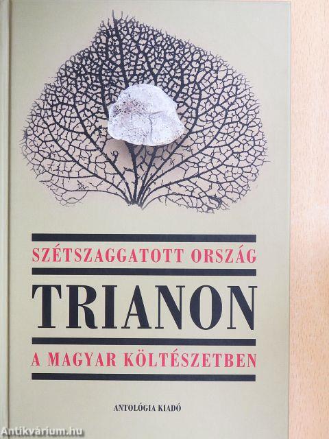 Szétszaggatott ország