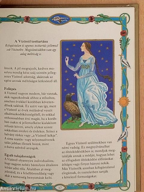 A Vízöntő