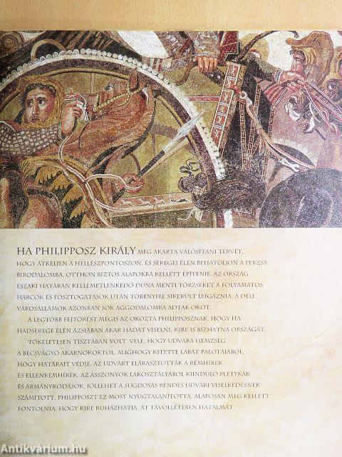 Nagy Sándor