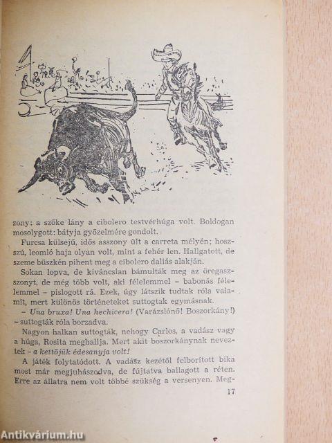 A fehér törzsfőnök