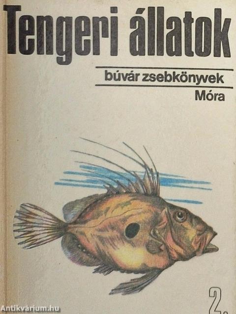 Tengeri állatok 2.