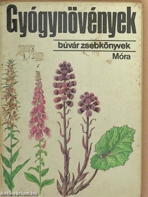 Gyógynövények