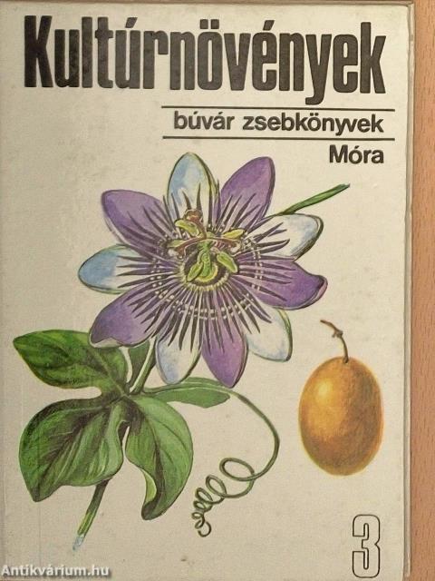 Kultúrnövények 3.