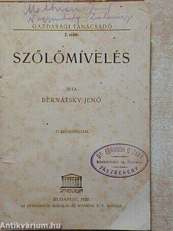 Szőlőmívelés