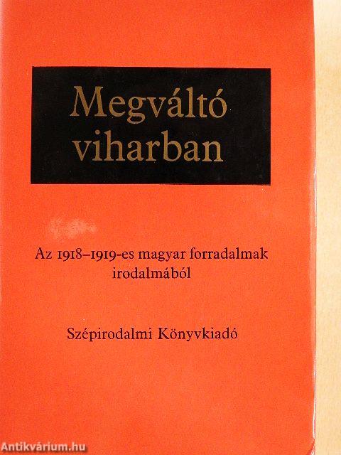 Megváltó viharban