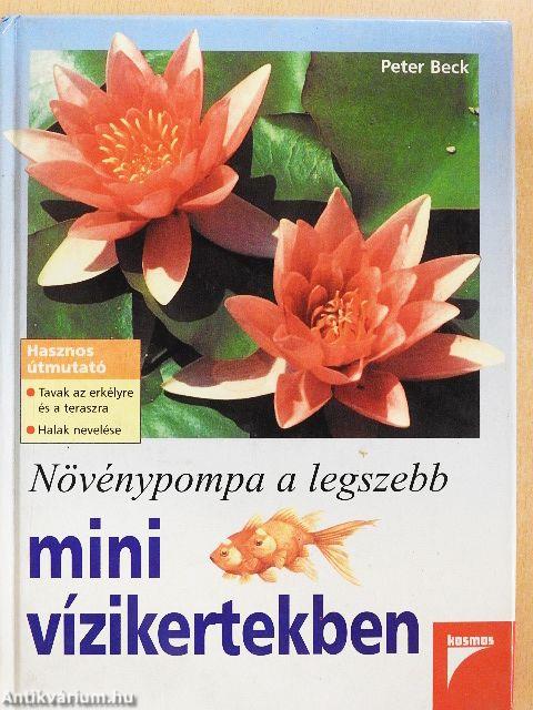 Növénypompa a legszebb mini vízikertekben