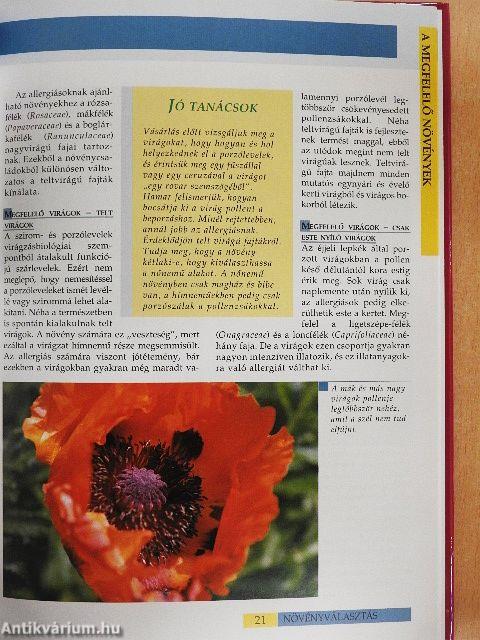 Allergiamentes kertek