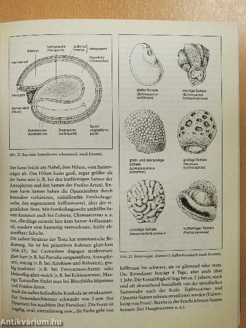 BLV Handbuch der Kakteen