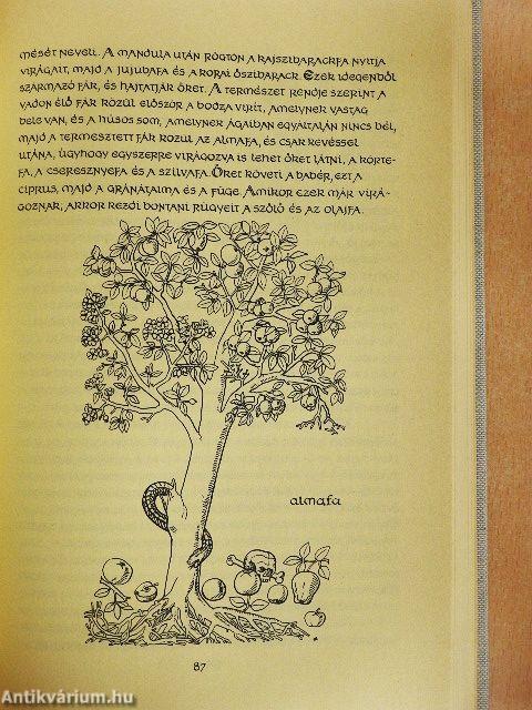 A természet históriája
