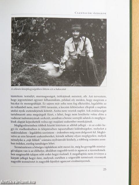 Új vadregény