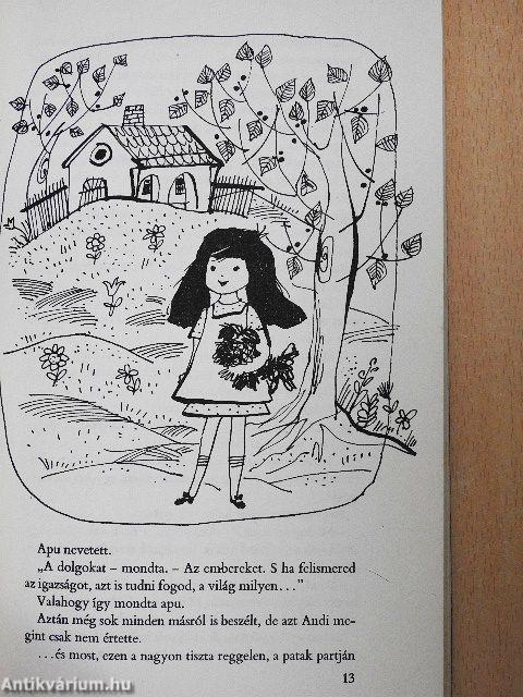 Andi és a világ