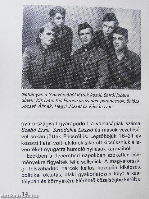 Harcok a Dráva mentén