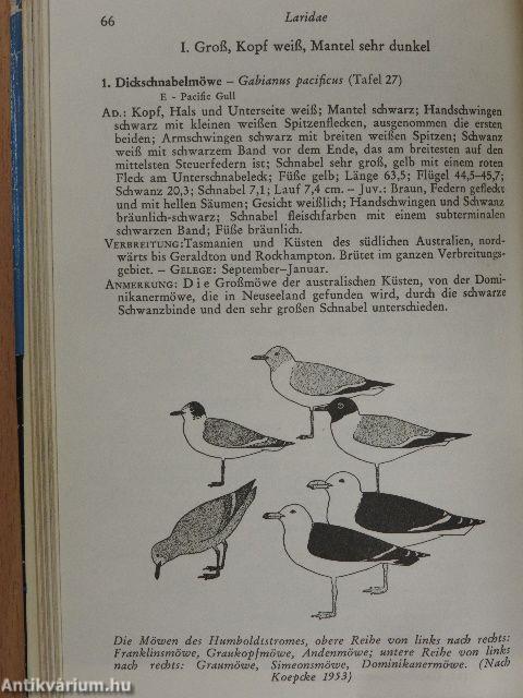 Die Vögel der Meere