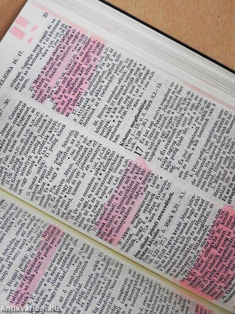 Szent Biblia
