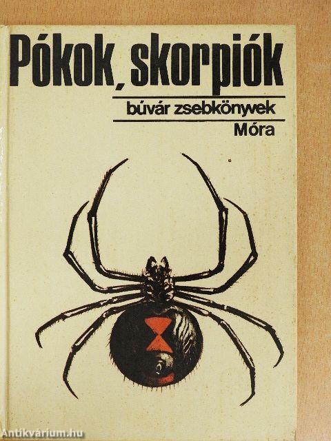 Pókok, skorpiók