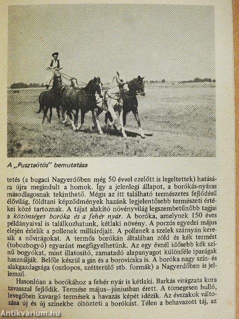 Bugac - Ősborókás