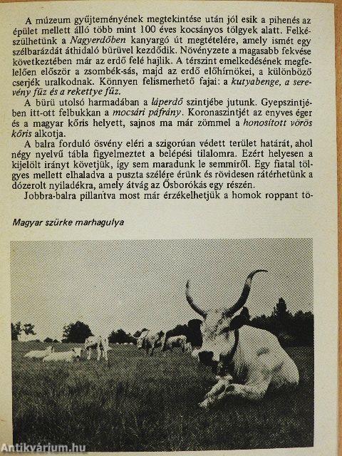Bugac - Ősborókás