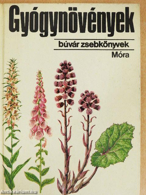 Gyógynövények