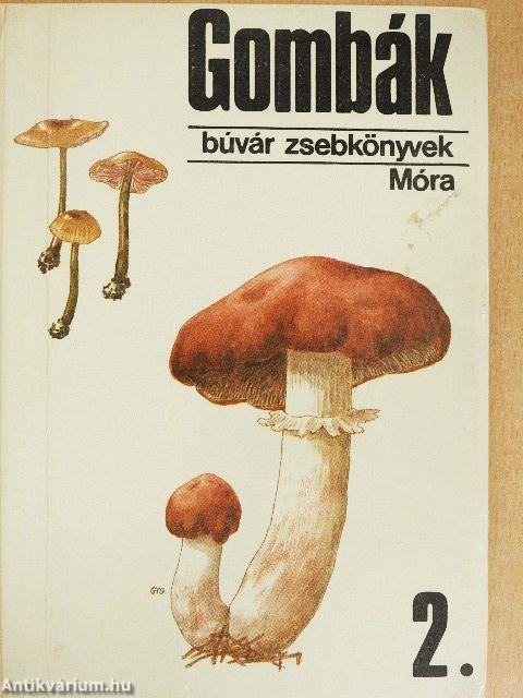 Gombák 2.