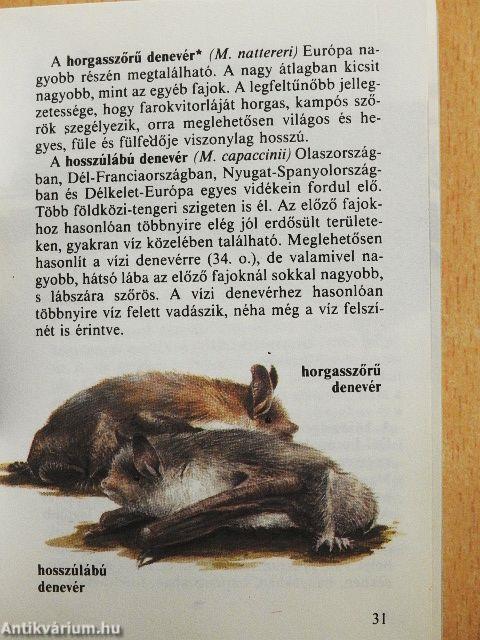 Emlősállatok