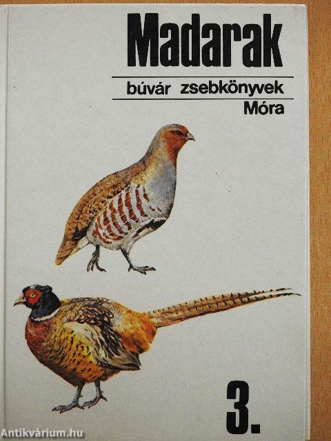 Madarak 3.