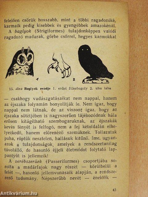 Ismerjük meg a madarakat