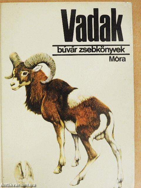 Vadak