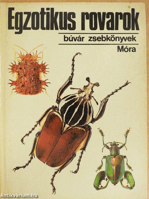 Egzotikus rovarok