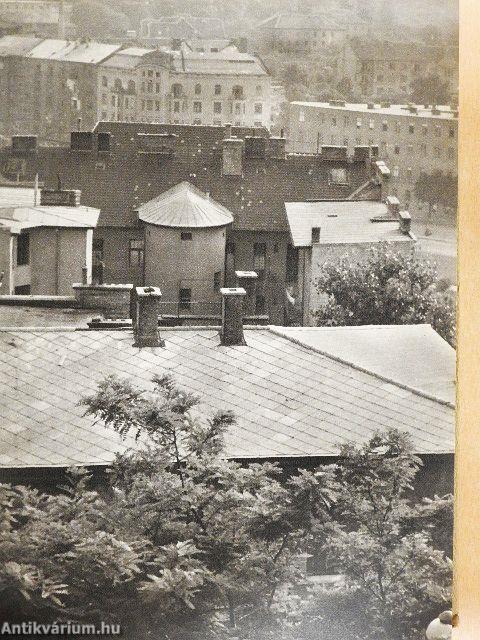 Beszélő házak