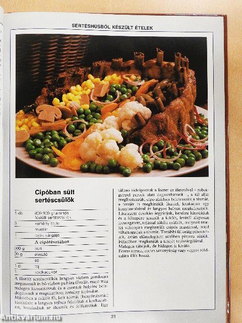 99 húsétel 33 színes ételfotóval