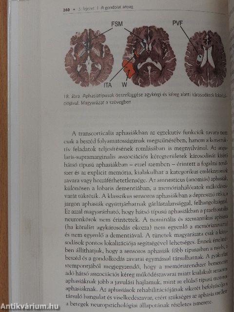 Ars Neurologiae