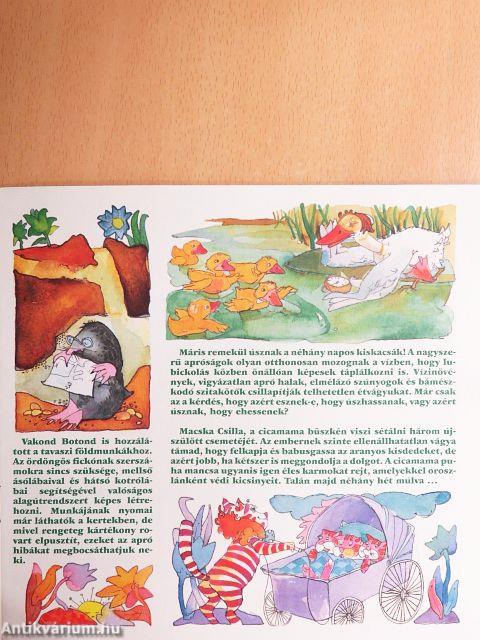 Dörmögő Dömötör 1991. április