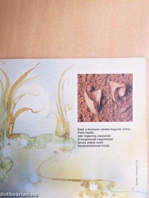Dörmögő Dömötör 1988. június