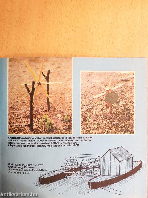 Dörmögő Dömötör 1988. július