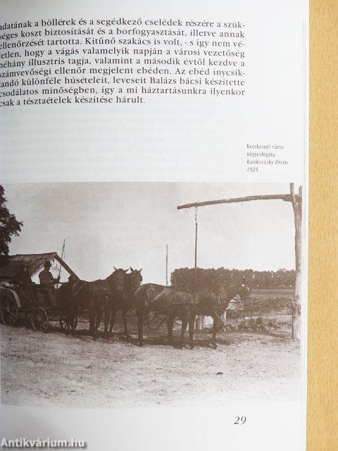 Pásztorvilág gazdaszemmel
