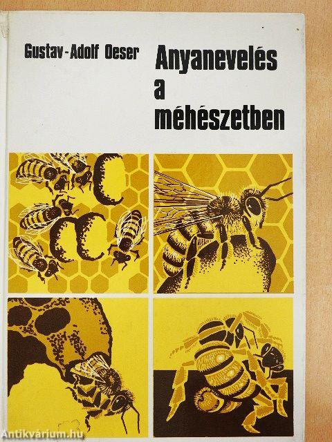 Anyanevelés a méhészetben