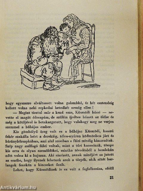 Kincskereső kisködmön