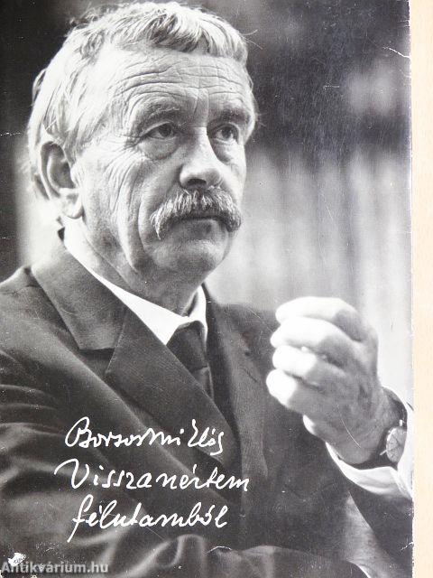 Visszanéztem félutamból